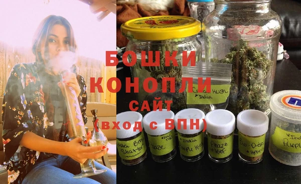 гашик Белоозёрский