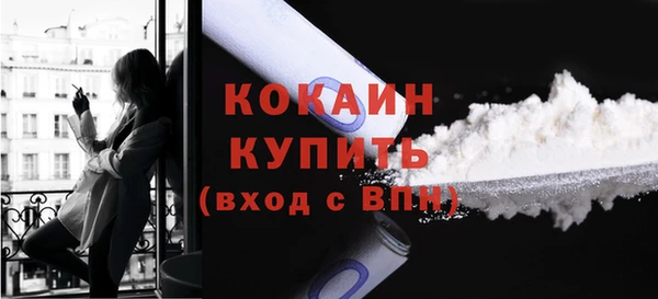 гашик Белоозёрский
