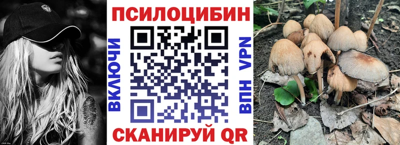 даркнет сайт Невель Псилоцибиновые грибы Cubensis